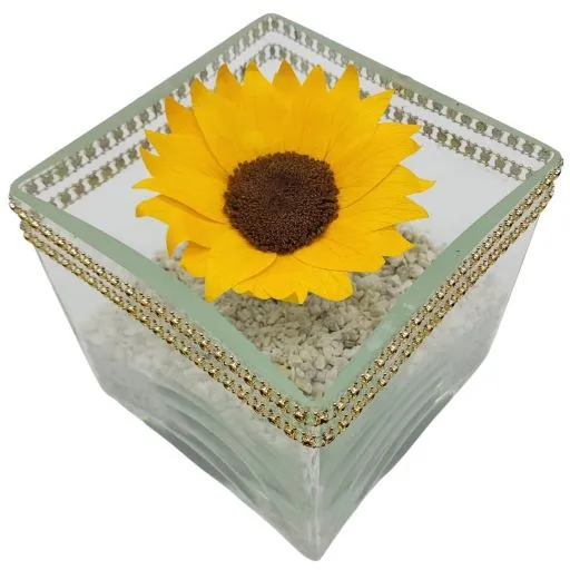 Flor girasol natural eterno cristal ¡oferta!